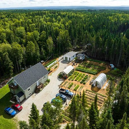 Bed and Breakfast Upper Humber Settlement Cormack Exterior foto