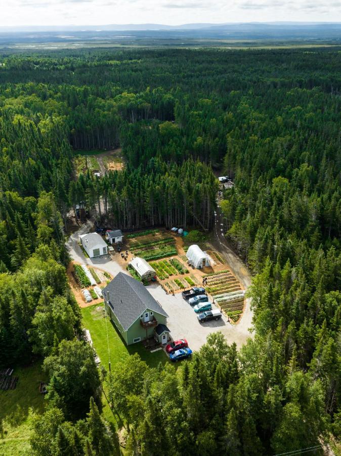 Bed and Breakfast Upper Humber Settlement Cormack Exterior foto